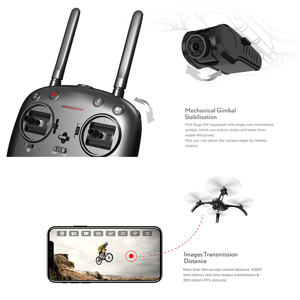BUGS5W (14)